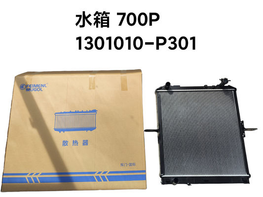 good price Feimenl Mugol Radiator Assembly ISUZU NPR NQR 4HK1,1301010-P301 online