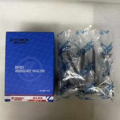 good price Premium Quality Intake Valve 1007011-ED01 for Great Wall 4D20D & 4D20B Engines, Built to Perform and Last. online