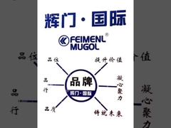 Guangdong Federal-Mogul Industrial Co., Ltd. Product Introduction