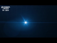 Guangdong Federal-Mogul Industrial Co., Ltd.